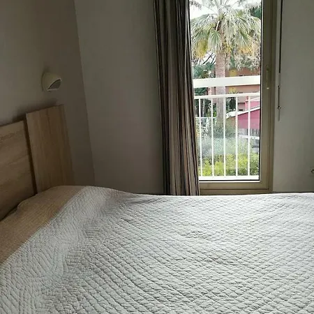 Sea ​​view Cannes-antibes Apartment